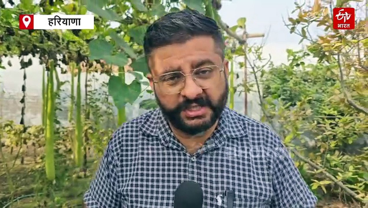 फतेहाबाद के किसान रवि ने उगाई 6 फीट लंबी लौकी,...