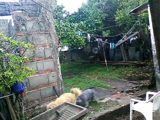 Soledad: Lluvia del viernes 24 de octubre de 2025 en la tarde