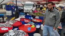 Tekirdağ’da hamsinin kilosu 50 TL oldu