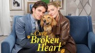 The Cure for a Broken Heart Full Movie