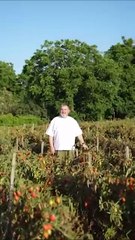 Mocerino - Vicini Sempre! (29.09.25)