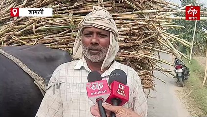 गन्ना मूल्य बढ़ोतरी पर किसान बोले- लागत के हिसाब से बढ़ने चाहिए दाम, पूर्वांचल में गन्ने की खेती घाटे का सौदा