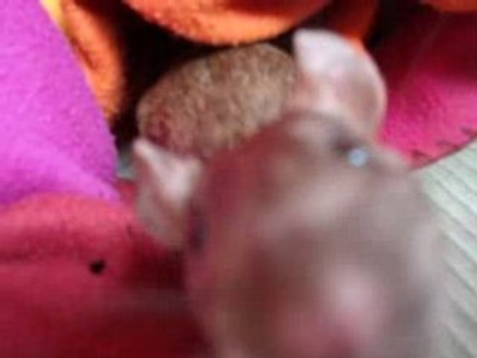 MOV02189