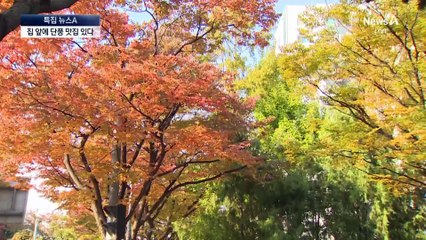 집 앞에 단풍 맛집 있다…숨은 명소들