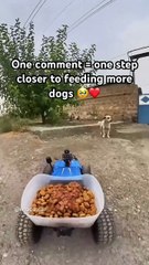 Nothing feels better than seeing a hungry dog eat❤️Support link in bio #dogs #puppies #dog #kindness