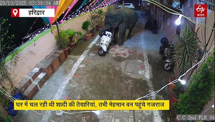 घर में चल रही थी शादी की तैयारियां, मेहमानों से पहले पहुंच गए गजराज, केले खाकर चलते बने, देखें वीडियो