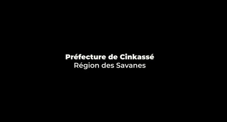 ENGAGEMENTS DES ACTEURS POUR LA REVALORISATION DE LA MÉDECINE ET DE LA PHARMACOPÉE TRADITIONNELLE AU TOGO.