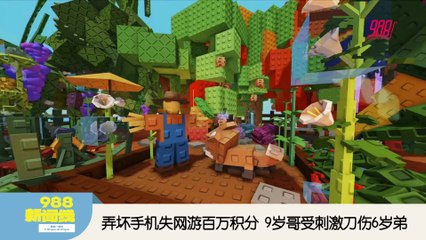 《988新闻线》： 2025年10月29日 反贪会：弄坏手机尽失电游百万积分，9岁哥受刺激刀伤6岁弟！