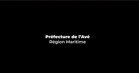 ENGAGEMENTS DES ACTEURS POUR LA REVALORISATION DE LA MÉDECINE ET DE LA PHARMACOPÉE TRADITIONNELLE AU TOGO.