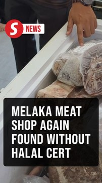 Melaka frozen meat outlet found displaying 'halal' logo without valid certification