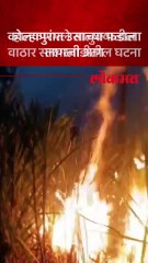 उसाच्या फडाला लागली आग, दोन एकरातील ऊसाचे झाले नुकसान