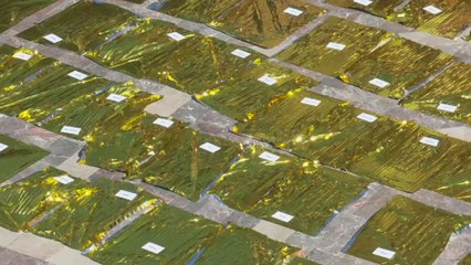 Precioso homenaje a las víctimas de la DANA en la plaza del ayuntamiento de Valencia