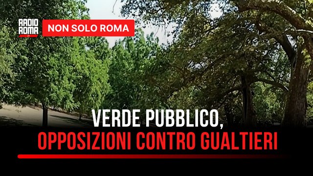 Verde pubblico, Gualtieri annuncia un milione di alberi per Roma, le opposizioni: Solo opacità