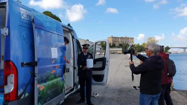 Taranto, 150 cavallucci marini tornano nel mar Piccolo