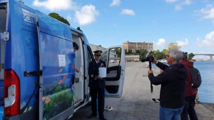 Taranto, 150 cavallucci marini tornano nel mar Piccolo