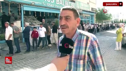 Şanlıurfa’da ucuz hamsi kuyruğu: Vatandaş balık yesin