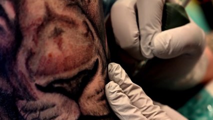 tn7-preguntas-y-respuestas-sobre-nuevo-reglamento-del-mep-291025