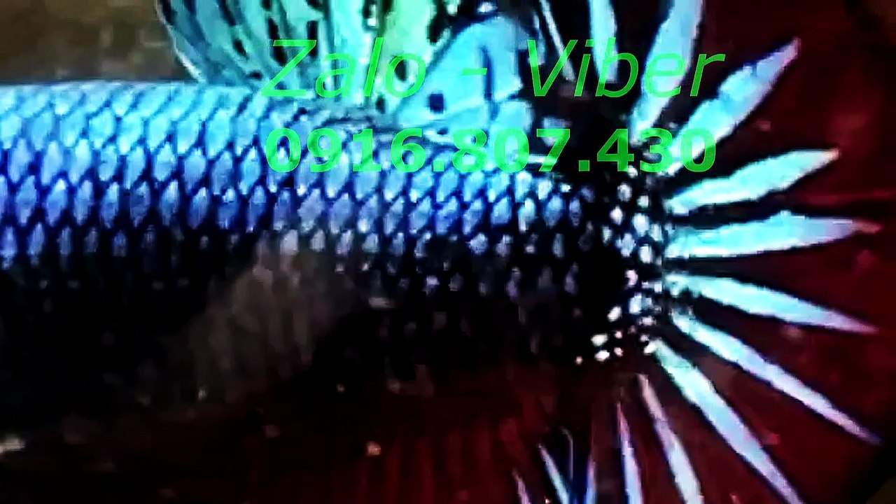 Mux251016192450