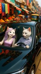 Ai Cat Animation video