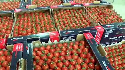 Ukrayna'nın kararı için çözüm çağrısı: 'Büyük kayıp olacak'