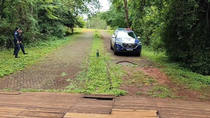 GMs fazem buscas em área de mata à procura de assaltante