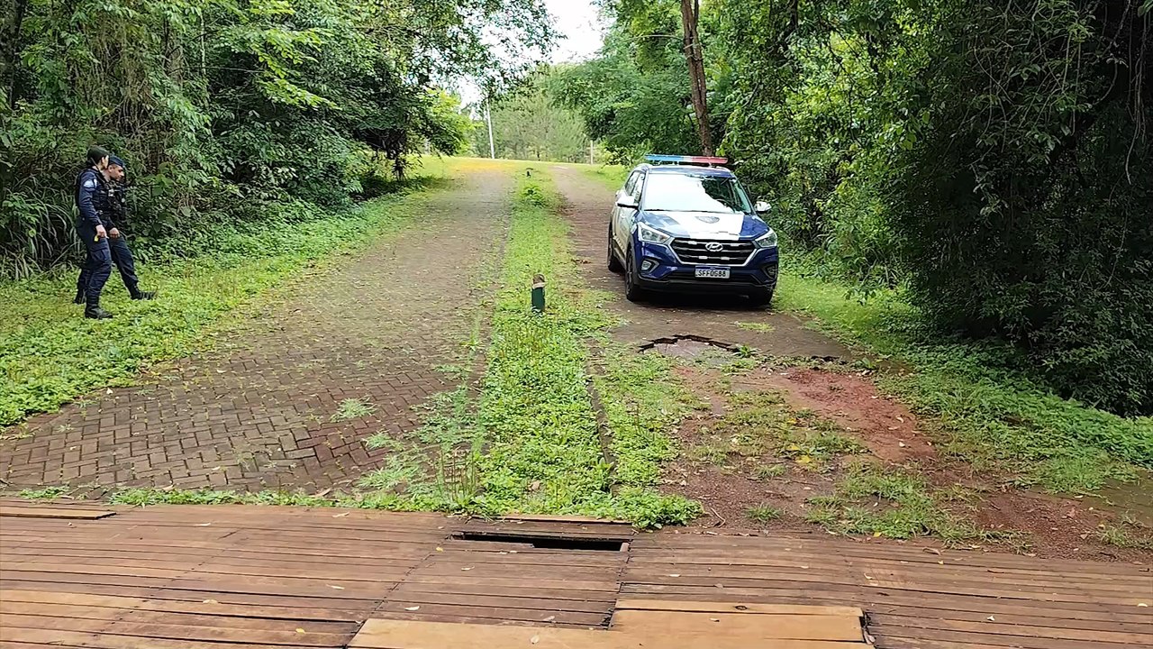 GMs fazem buscas em área de mata à procura de assaltante
