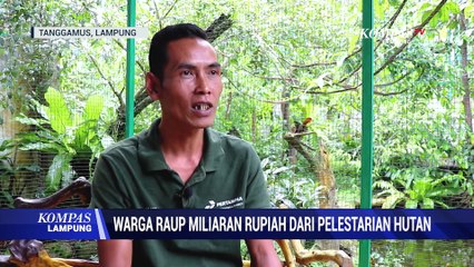 Warga Raup Miliaran Rupiah dari Melestarikan Hutan