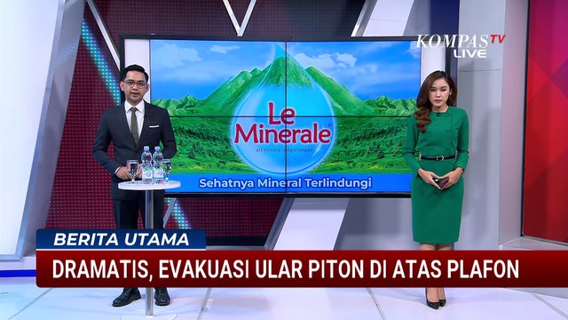 Dramatis! Evakuasi Ular Sepanjang 4 M dari Plafon Rumah Warga di Surabaya | BERUT