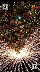 Fyi My Love Ship's Sailed Without You - Full Movie