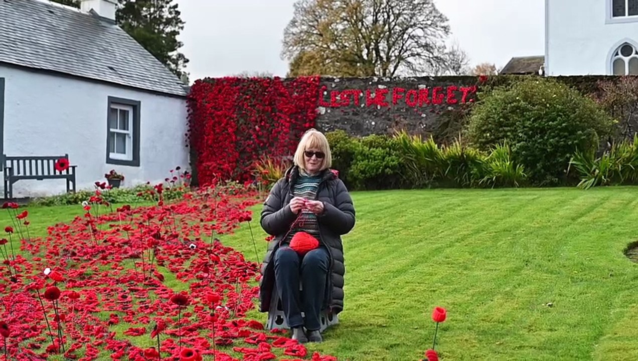 Eaglesham Remembrance Day Display