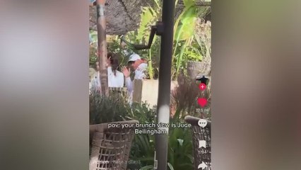 Bellingham pilla a un fan grabándole mientras comía con su familia: su reacción es de genio absoluto