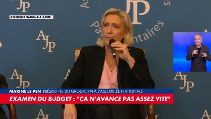 Marine Le Pen : «A peu près tout ce qui est voté l'est grâce à nous»