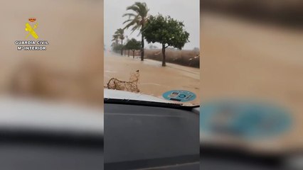 Lluvias torrenciales y fuertes vientos en Sevilla