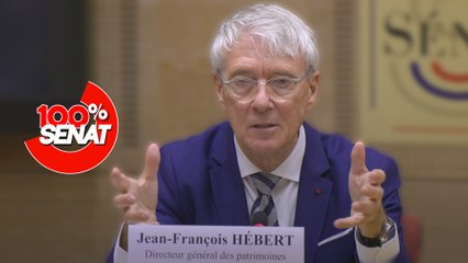 100% Sénat - Vol au Louvre : quel est l'état de la sécurité des musées ?