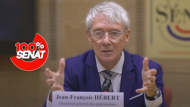 100% Sénat - Vol au Louvre : quel est l'état de la sécurité des musées ?