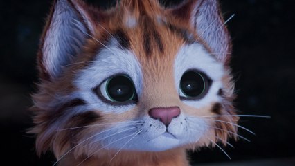 Heidi et le lynx des montagnes