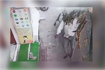 Bull Attack: बुजुर्ग पर पीछे से सांड ने किया हमला, सींगों से उछालकर फेंका, अस्पताल में भर्ती, VIDEO वायरल
