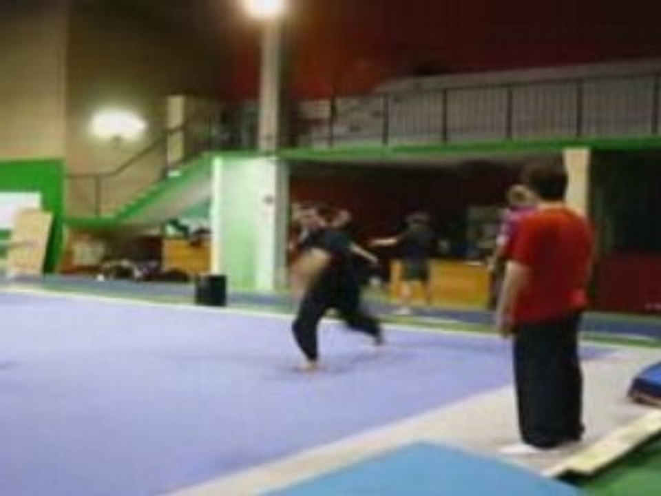 Trailer 2008