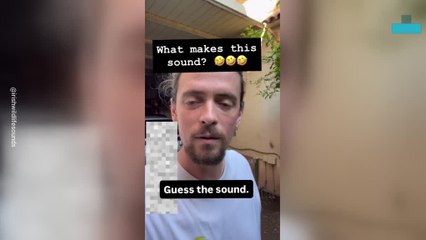 Tortoises Caught in Compromising Position