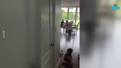 Dad’s Disastrous Haircut Leaves Family in Stitches