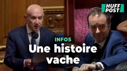 « La vache de Zuc » : contre la taxe Zucman, ce sénateur tente l’humour
