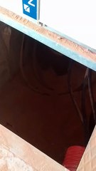 Trends Vidéo #fyp #like #short #food #eating #eati