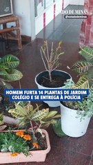 Homem furta 14 plantas de colégio e se entrega à polícia
