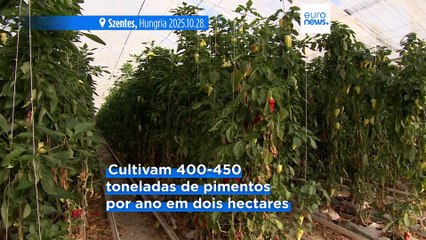 A inteligência artificial ao serviço da piscicultura e da agricultura na Hungria