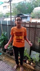 How To Care Plants In Summer