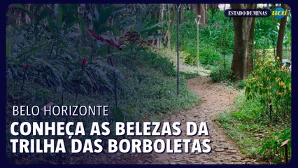 Trilha das Borboletas: as belezas e a história do Parque Municipal