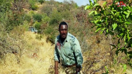 মানুষ হোক বা সিংহ , তার পরিবারের জন্য সে সব কিছু করতে পারে !ShoktiKahini