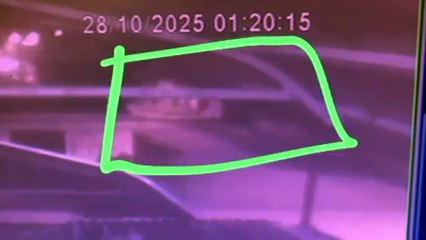 Título: Furto de Equipamentos Profissionais Deixa Pet Shop do Engenho do Meio, Recife, em Prejuízo de R$15 mil