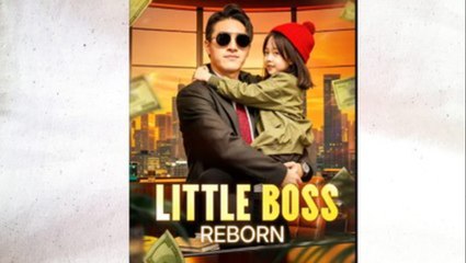 Little Boss Reborn