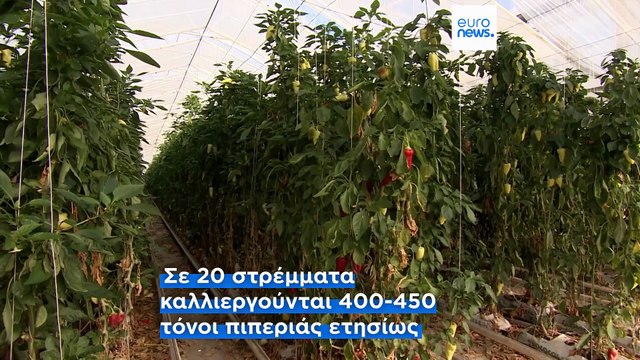 Ουγγαρία: Ο ρόλος της τεχνητής νοημοσύνης στην γεωργία